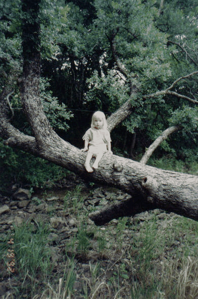 Brandy On Log.gif